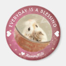 Suche nach niedlicher hamster magnete Haustier