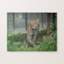 Suche nach rettung puzzle Katze