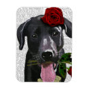 Suche nach eine rose magnete Rosen
