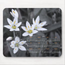 Suche nach makro mousepads Botanisch