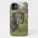Suche nach indisch iphone hüllen Elefant