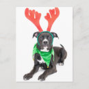 Suche nach weißer labrador retriever poster Weihnachten