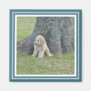 Suche nach türkis und weiß magnete Modern