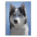 Suche nach sleddog Schlittenhund