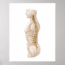 Suche nach anatomie poster Digital generiertes bild