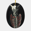 Suche nach anatomie ornamente Anatomisch