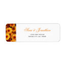 Suche nach chrysantheme Herbst