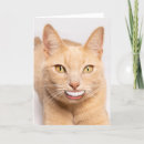 Suche nach niedlicher zahn karten Katze
