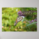 Suche nach lila schmetterlinge poster Natur