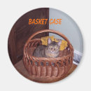 Suche nach miezekatzen magnete Kätzchen