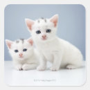 Suche nach neugierig aufkleber Natur