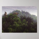 Suche nach dornen poster Natur