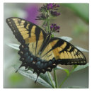 Suche nach butterfly fliesen Insekt