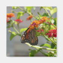 Suche nach monarch magnete Orange