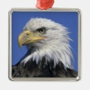 Suche nach in ihrem gesicht ornamente Usa
