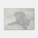 Suche nach für draußen post it Niedlich