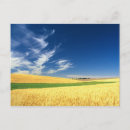 Suche nach ernten postkarten Landschaft
