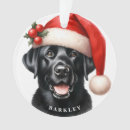 Suche nach labrador retriever ornamente Haustier