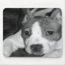 Suche nach pitbulls mousepads Amerikanisch