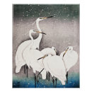 Suche nach koson poster Vogelvogel