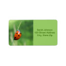 Suche nach grashalm Natur
