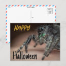Suche nach halloween grüße postkarten Spinne