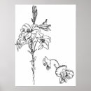Suche nach linie zeichnen poster Blume
