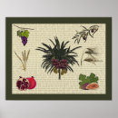 Suche nach weizen poster Getreide