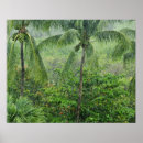 Suche nach tropischer regenwald poster Horizontal