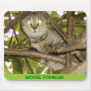 Suche nach katzen humor mousepads Baum