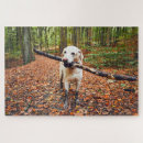 Suche nach herbst puzzle Niedlich