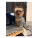 Suche nach yorki poster Lustiger hund