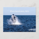 Suche nach buckelwal poster Wasser
