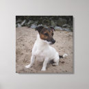 Suche nach russell leinwandbilder Hund