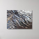 Suche nach feathers leinwandbilder Federn