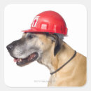 Suche nach great dane aufkleber Tier