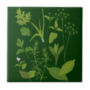 Suche nach petersilie fliesen Kräuter