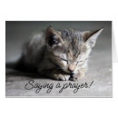 Suche nach traurige katze postkarten Kätzchen