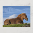 Suche nach einfachheit postkarten Natur
