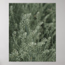 Suche nach altes foto poster Grün