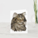 Suche nach maine coon cat karten Münze