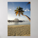 Suche nach tropischer strand poster Palme