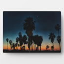 Suche nach palme fotoplatten Fotografie