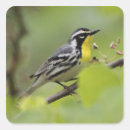 Suche nach singvogel aufkleber Natur