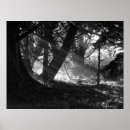 Suche nach lichtstrahl poster Natur