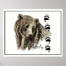 Suche nach grizzlybär poster Natur