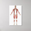 Suche nach körper leinwandbilder Ansicht