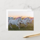 Suche nach rosa pferd postkarten Generativitätsinhalt