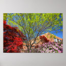 Suche nach busch poster Blume