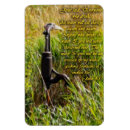Suche nach lebende magnete Wasser